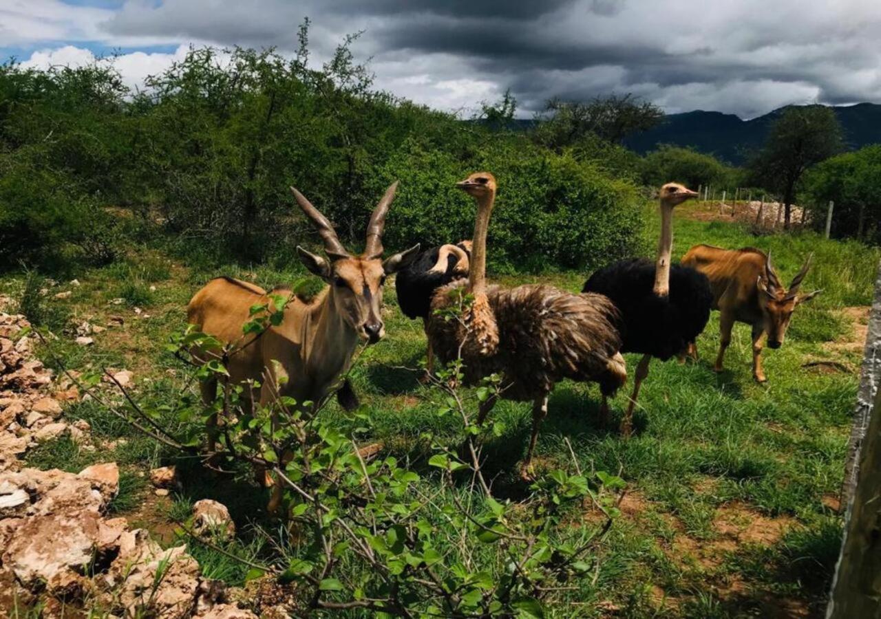 Oldonyo Orok Lodge Kajiado Exteriör bild