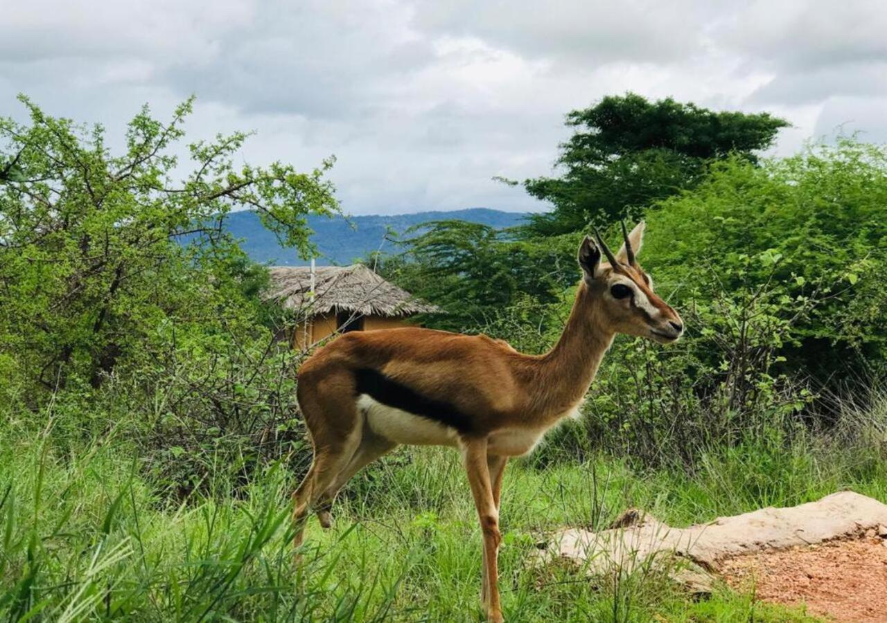 Oldonyo Orok Lodge Kajiado Exteriör bild