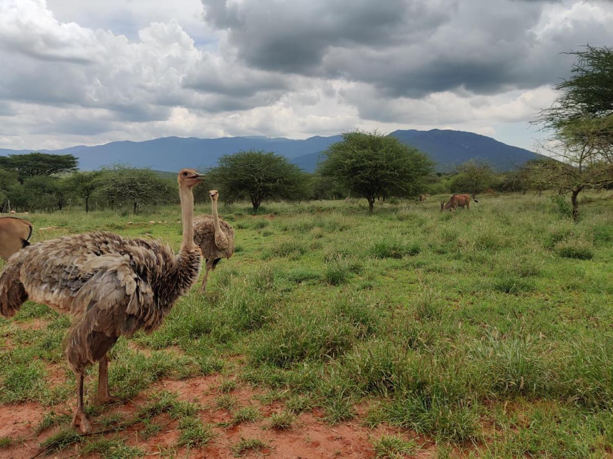 Oldonyo Orok Lodge Kajiado Exteriör bild